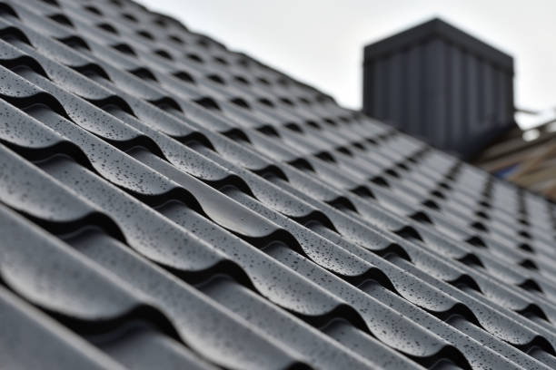 Roofing Services in Beach Haven